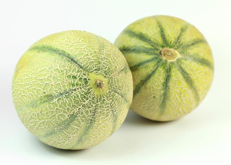 Melone Cantaloup Obst und Gemüse Kräling