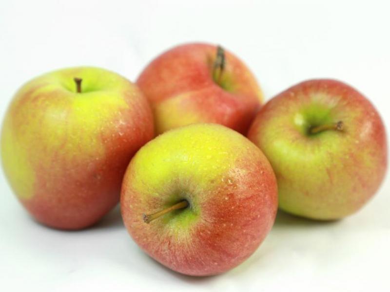 Cox und Ernte Apfel Kräling Gemüse | Neue Obst Orange