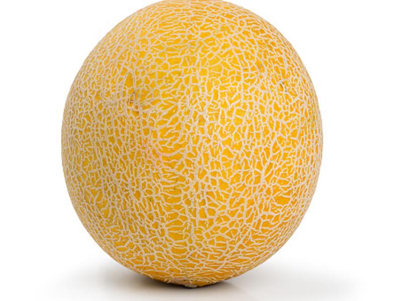 Melone Galia Melone Galia